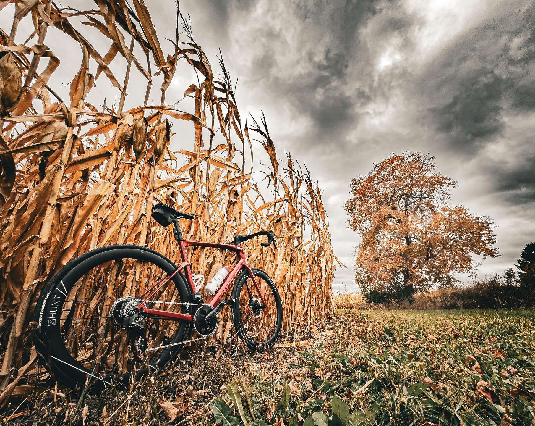 Road bicycle beside a field near Potchefstroom